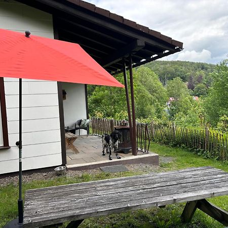 Harzhuisje - Sankt Andreasberg Zewnętrze zdjęcie