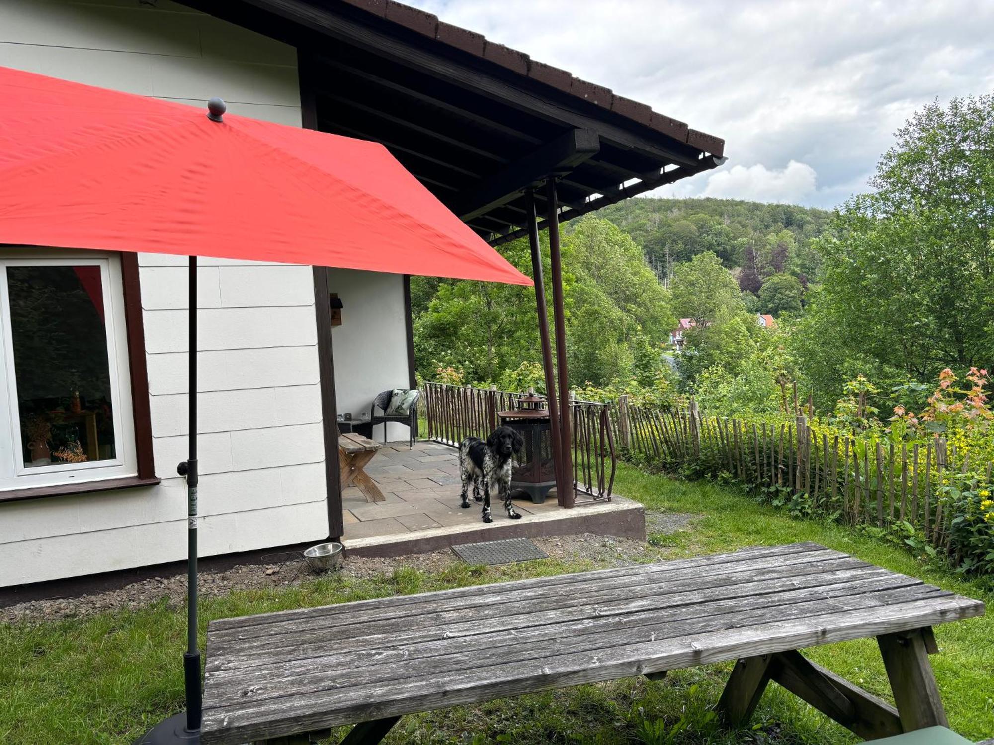 Harzhuisje - Sankt Andreasberg Zewnętrze zdjęcie