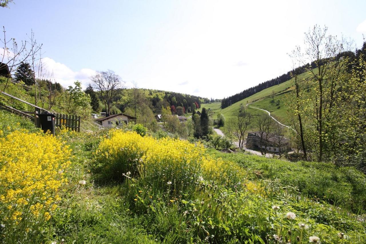 Harzhuisje - Sankt Andreasberg Zewnętrze zdjęcie