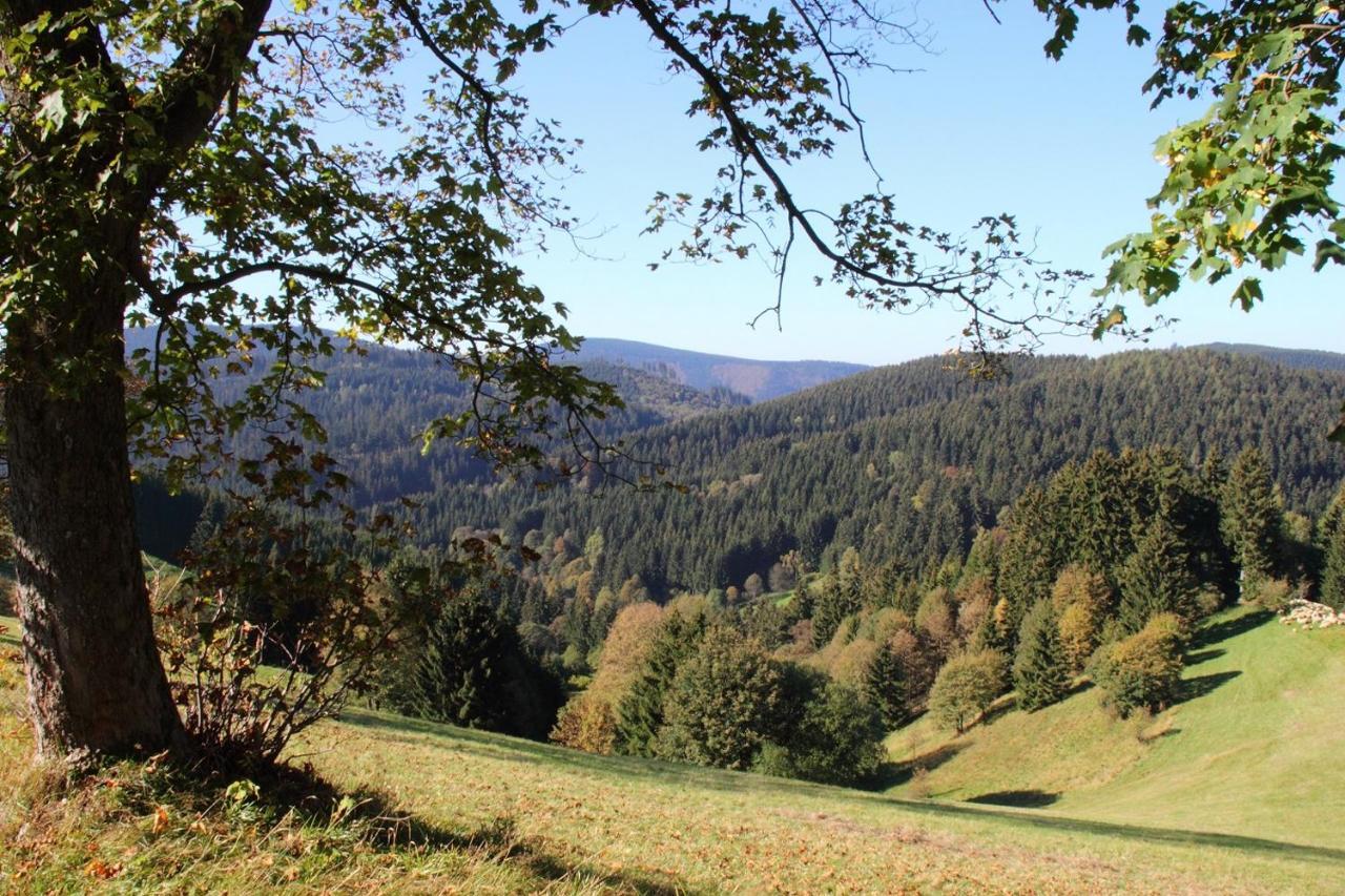 Harzhuisje - Sankt Andreasberg Zewnętrze zdjęcie