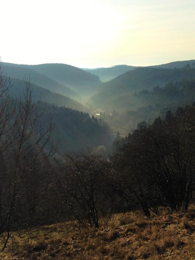 Harzhuisje - Sankt Andreasberg Zewnętrze zdjęcie